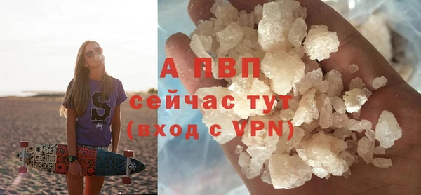 СК Новокубанск