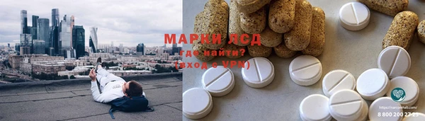 СК Новокубанск