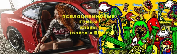 первитин Новодвинск