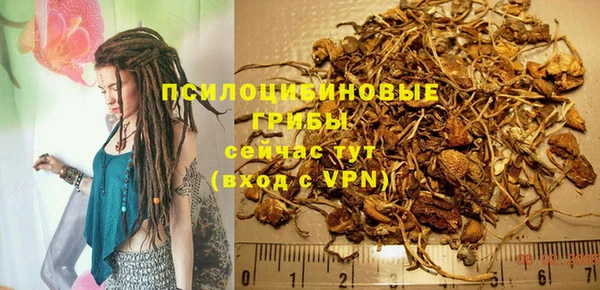 первитин Новодвинск